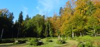 065 wildgatter_neuhuettenwiese